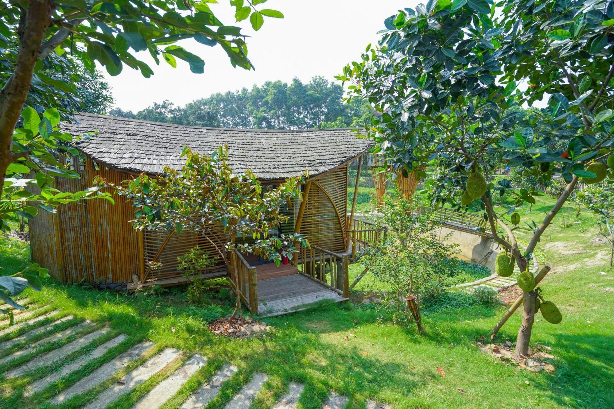 Trai Vang Little Bee House酒店 外观 照片